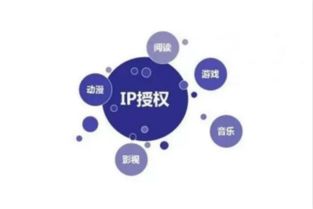 《新疆味道》 一部紀(jì)錄片的網(wǎng)絡(luò)文化創(chuàng)作與市場運(yùn)營之道